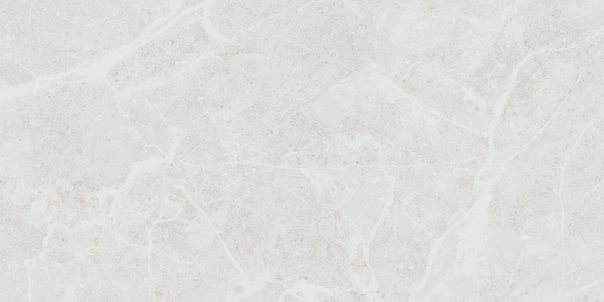 Belvedere White Matte 12x24 Porcelain Tile