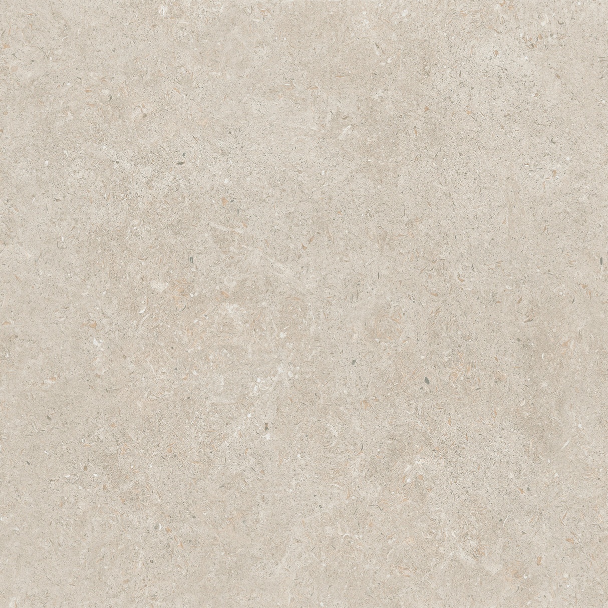 24x24 Matte Porcelain Floor Tile