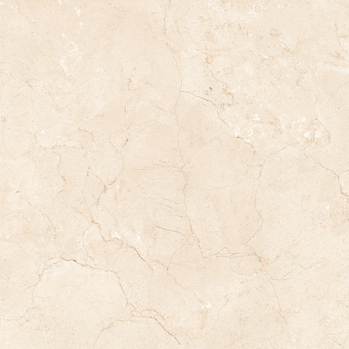 Marfil Crema 24x24 Polished Marble Look Porcelain Tile
