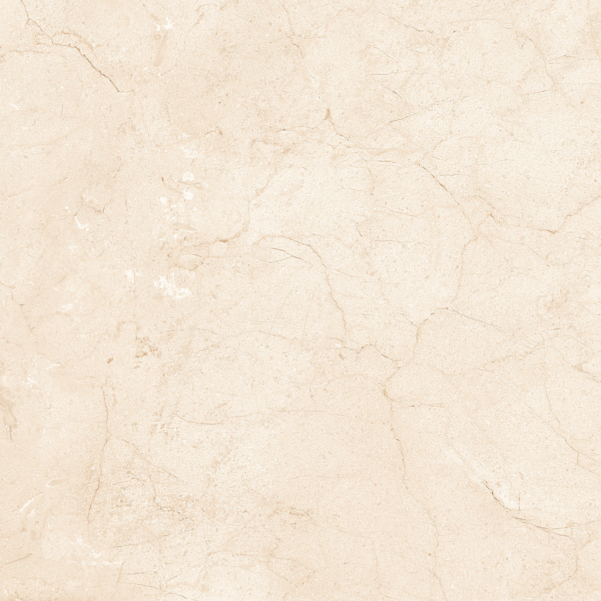 Marfil Crema 24x24 Polished Marble Look Porcelain Tile