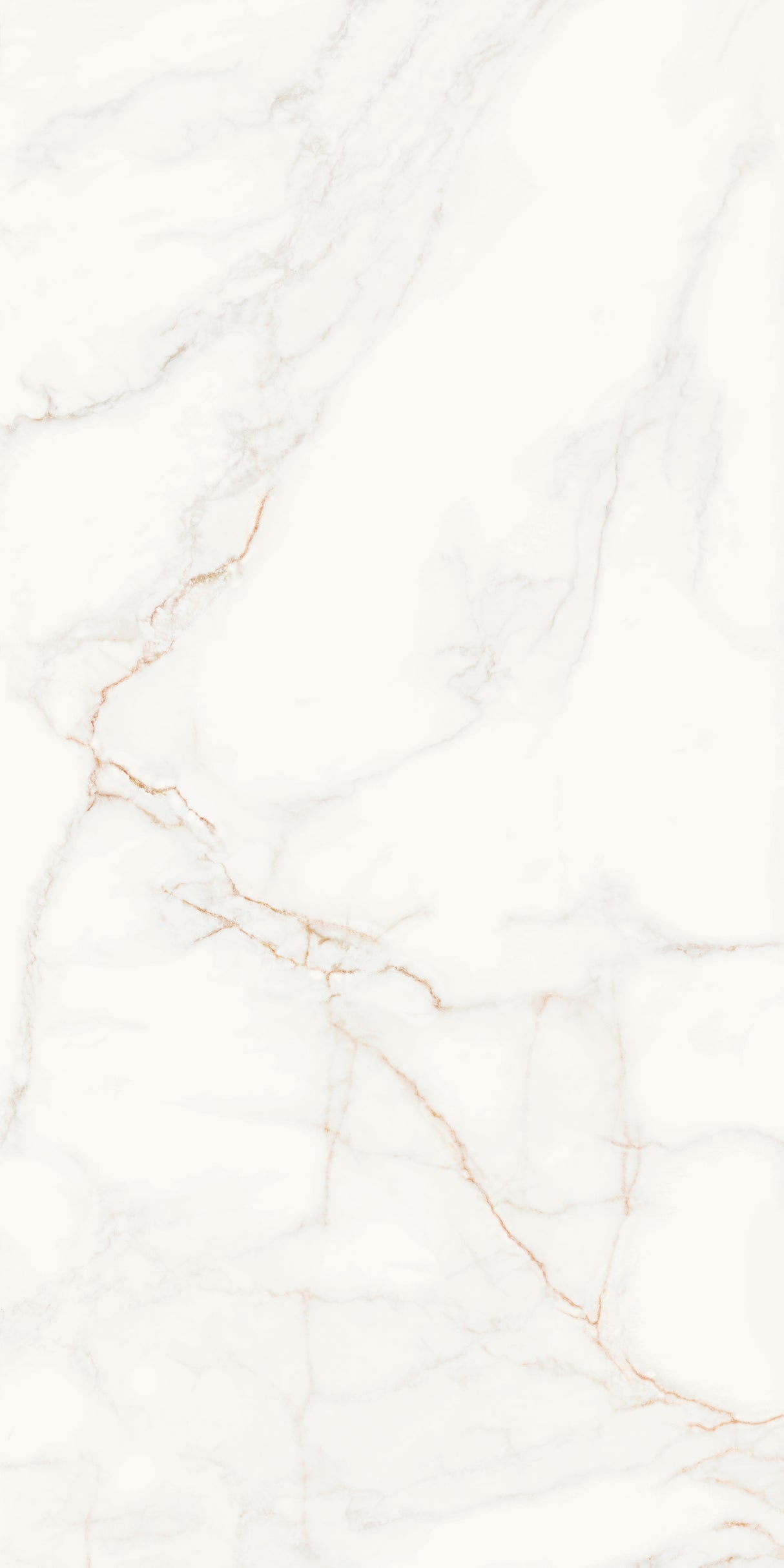 Marble Look Porcelain wall and floor Tile