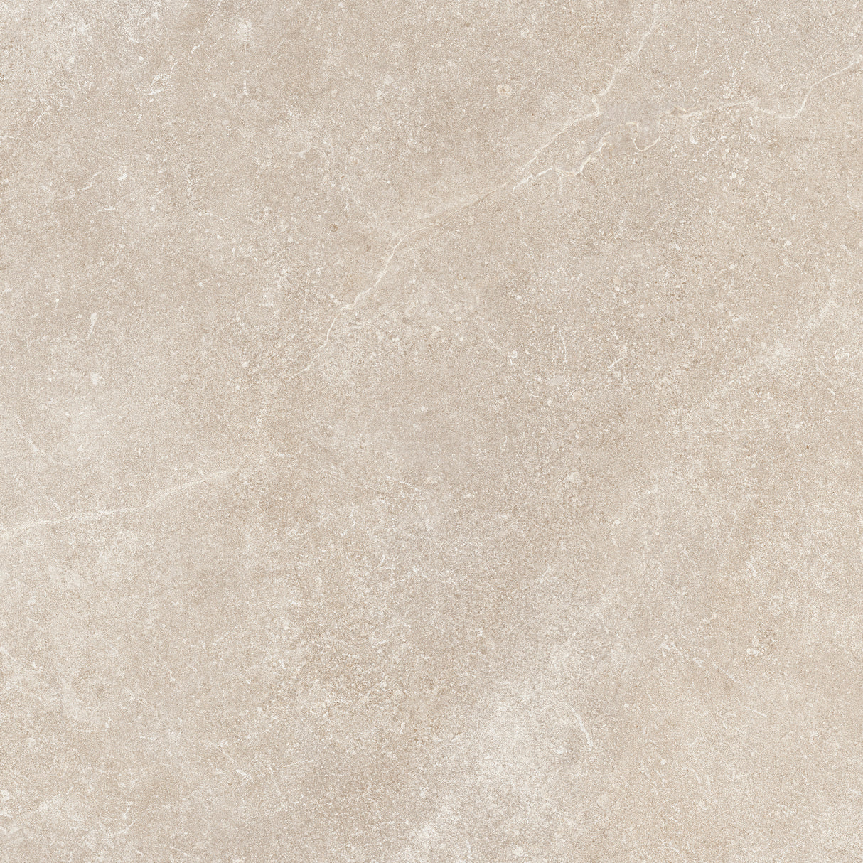 Matte Porcelain Wall Tile