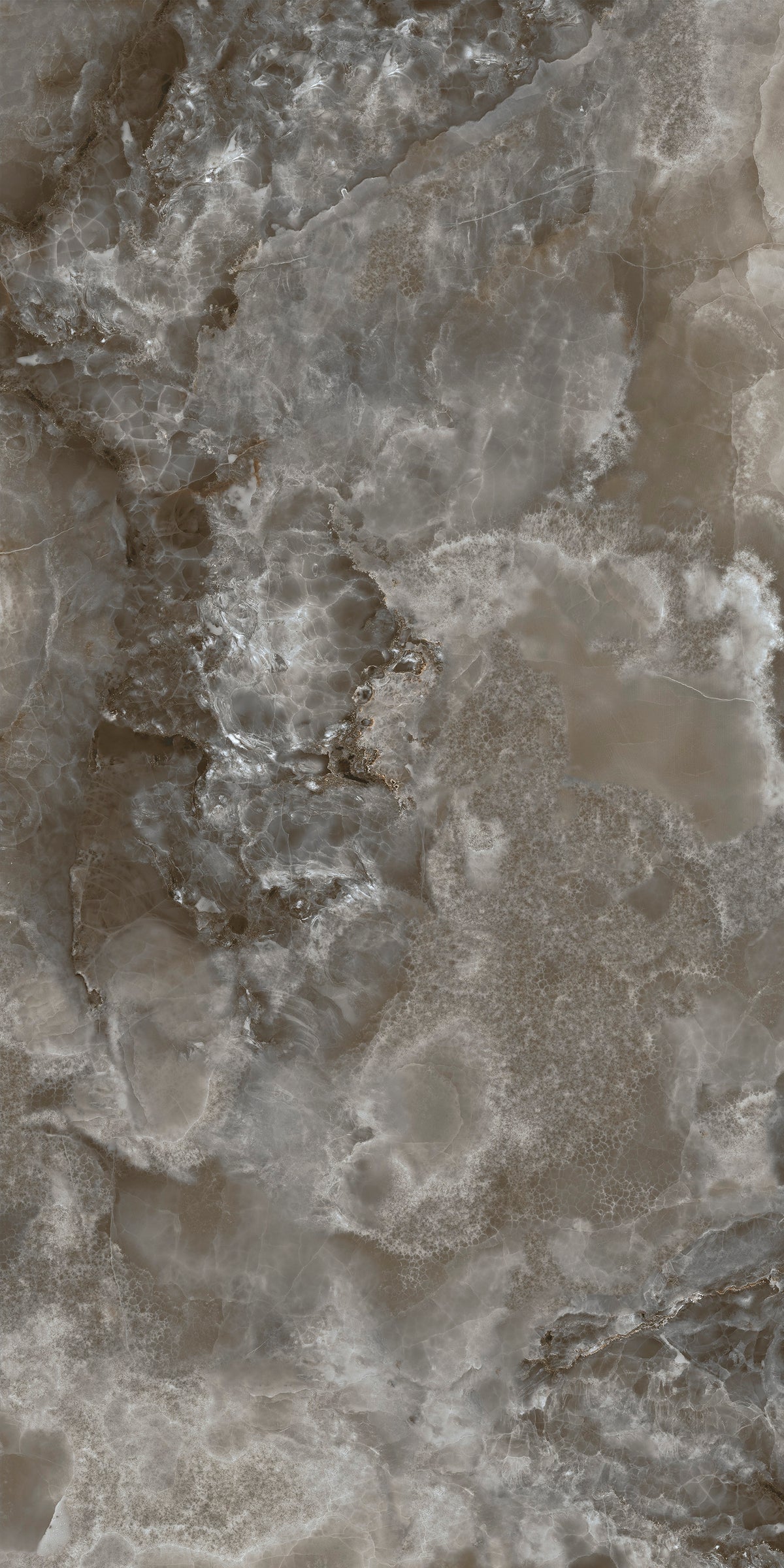 Scarlet Black 24x48 Polished Porcelain Tile
