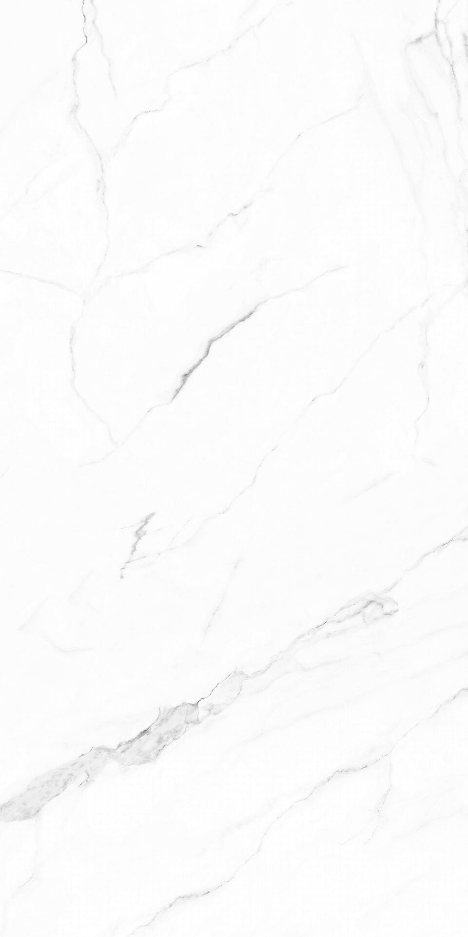 Olimpo 24x48 Polished Marble Look Porcelain Tile