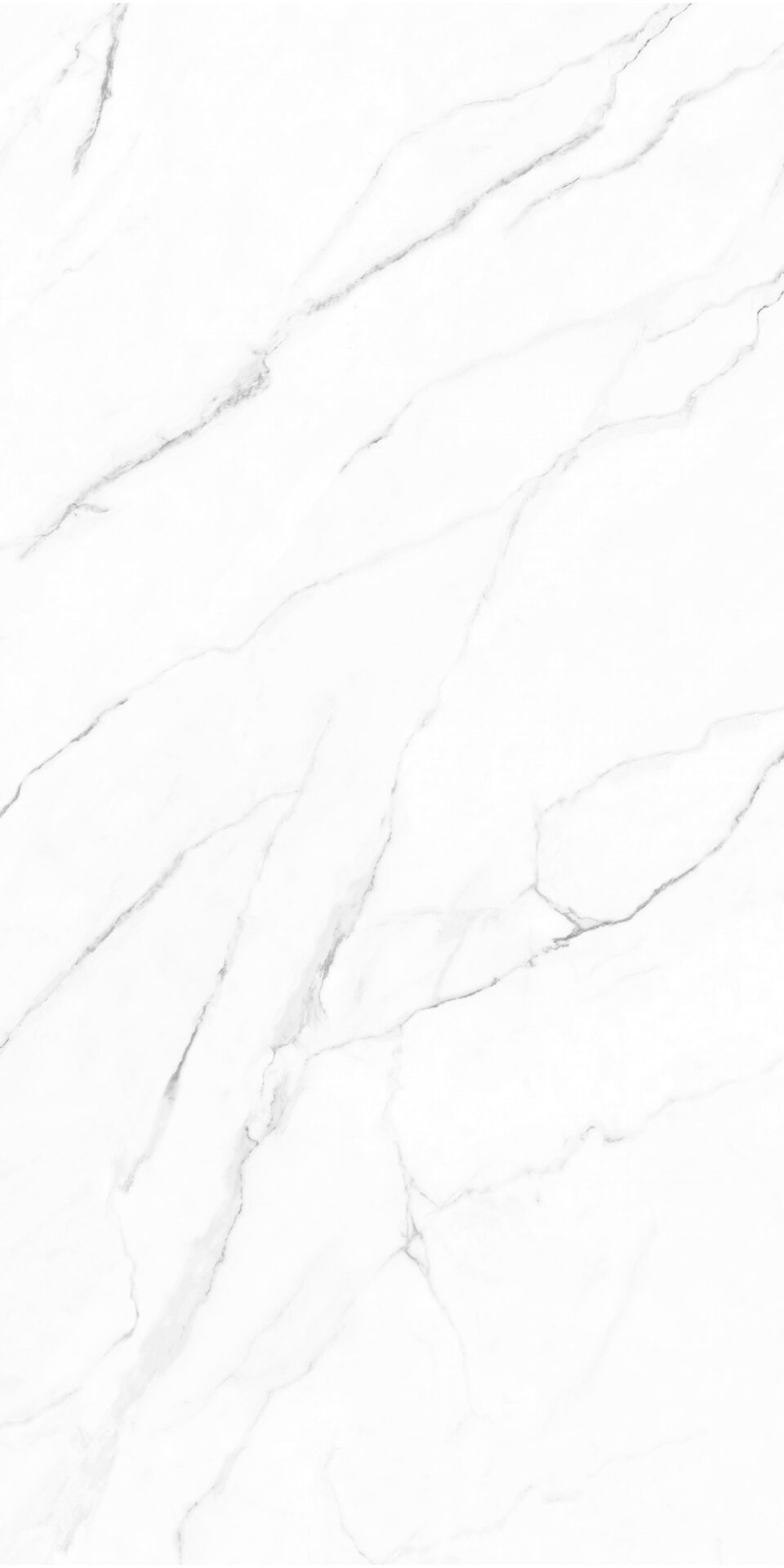 Olimpo 24x48 Polished Marble Look Porcelain Tile