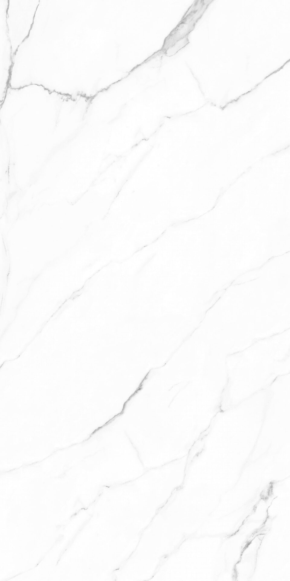 Olimpo 24x48 Polished Marble Look Porcelain Tile