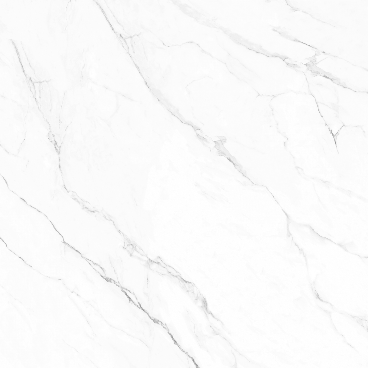 Olimpo 48x48 Polished Marble Look Porcelain Tile