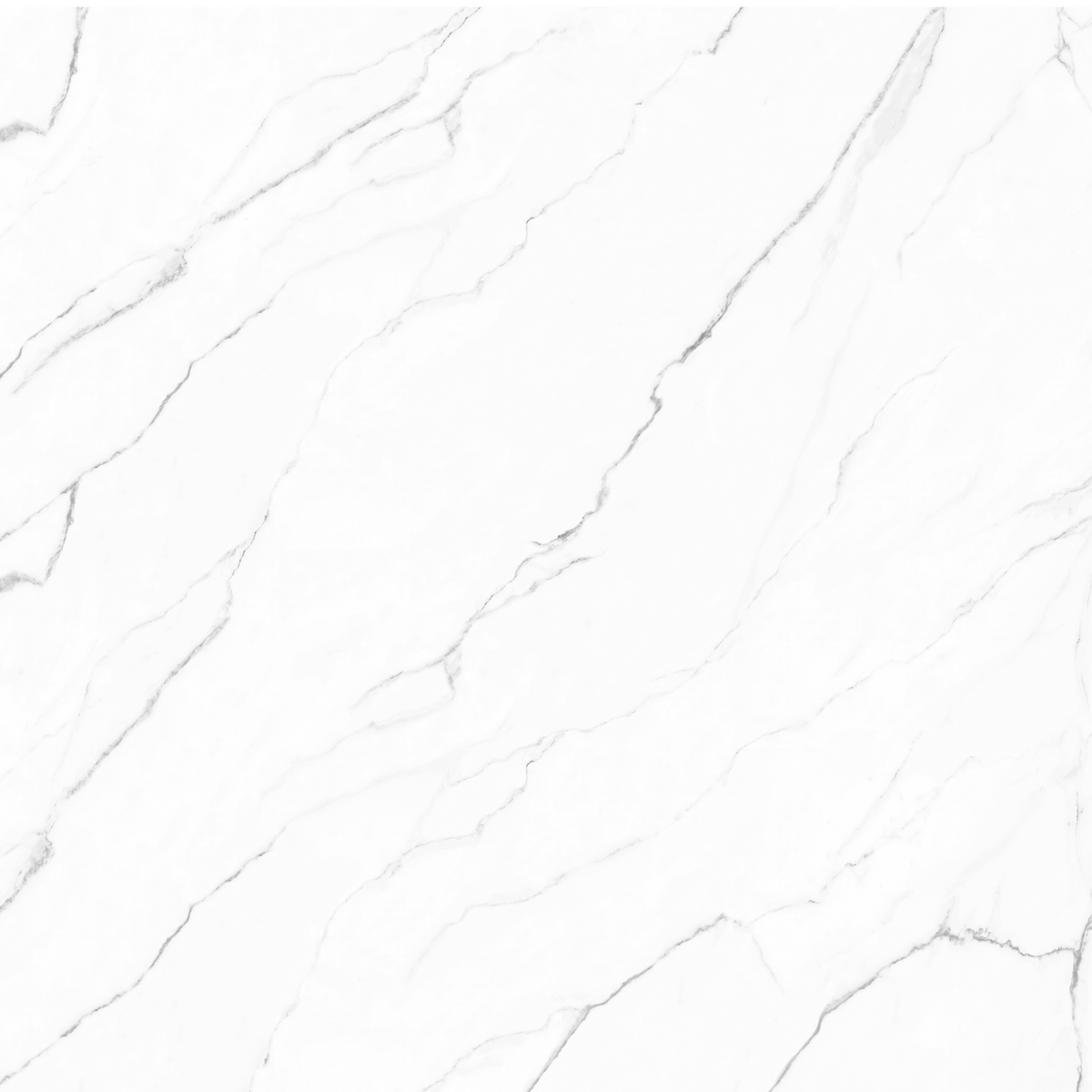 Olimpo 48x48 Polished Marble Look Porcelain Tile