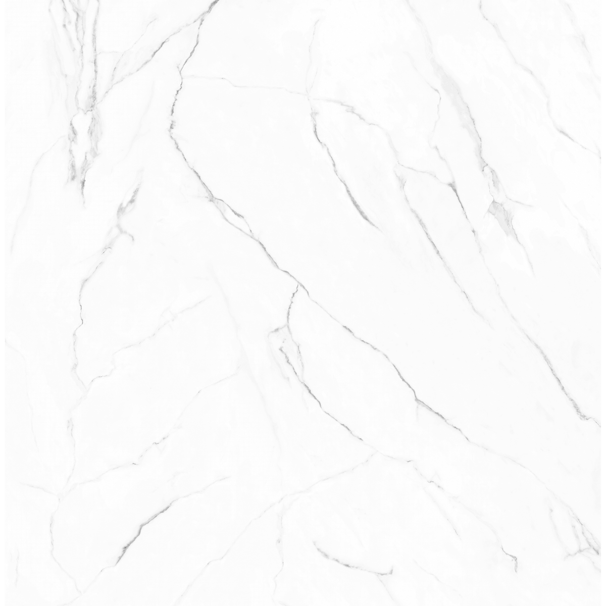 Olimpo 48x48 Polished Marble Look Porcelain Tile