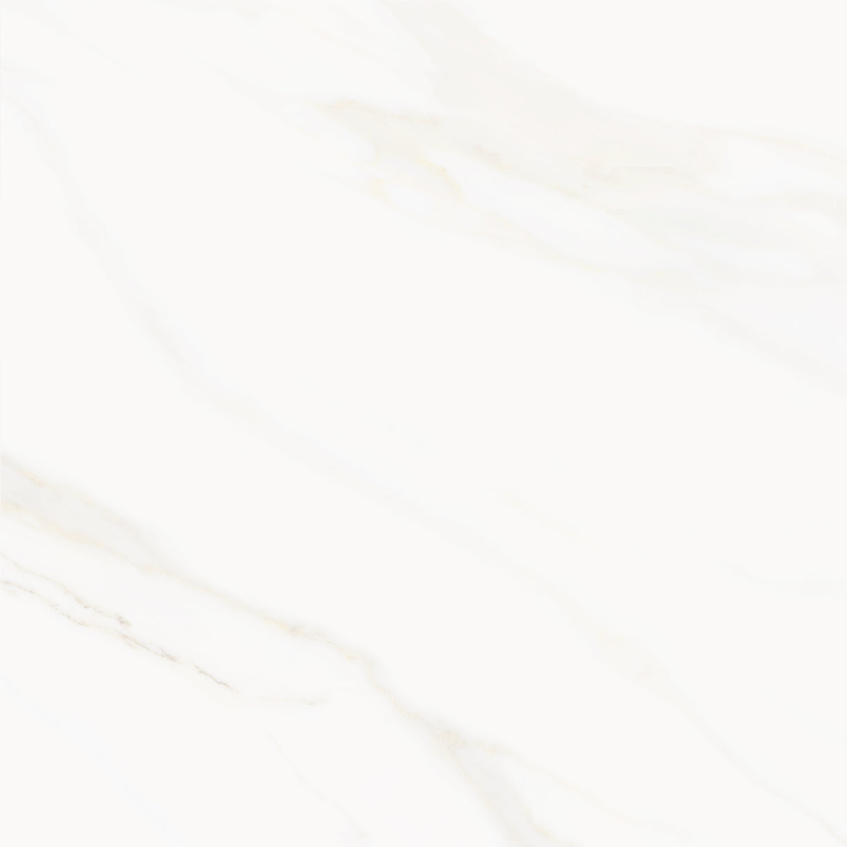 Venus Alpe AC 24x24 Textured Marble Look Porcelain Tile
