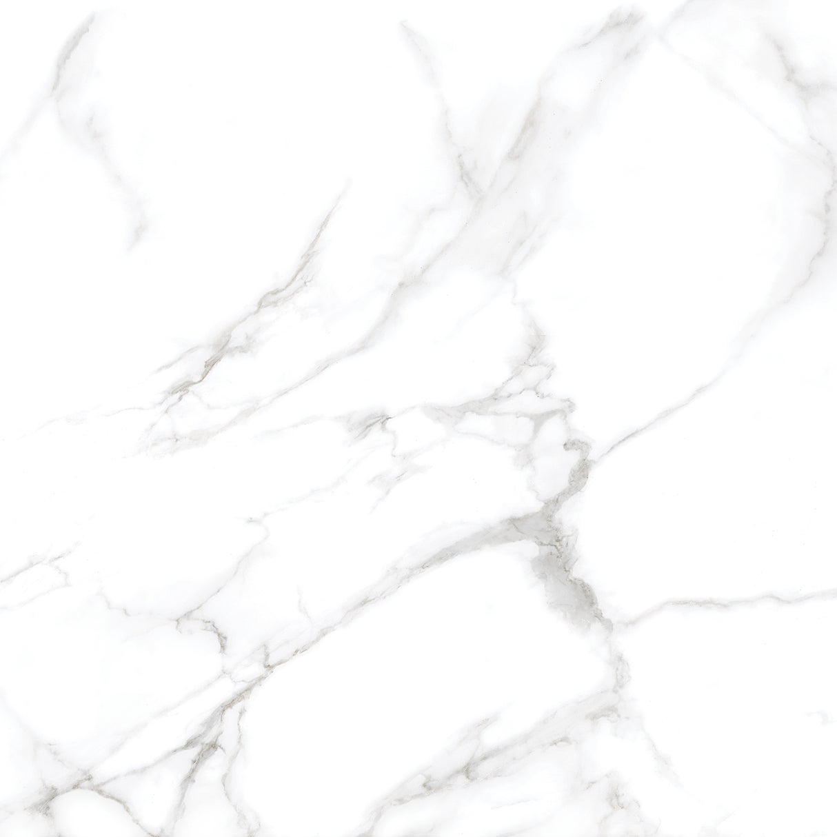 Silver Moon 24x24 Polished Marble Look Porcelain Tile