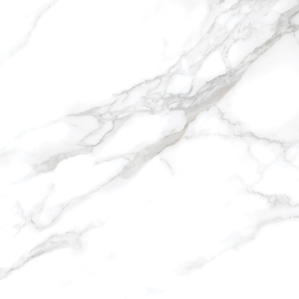 Silver Moon 24x24 Polished Marble Look Porcelain Tile