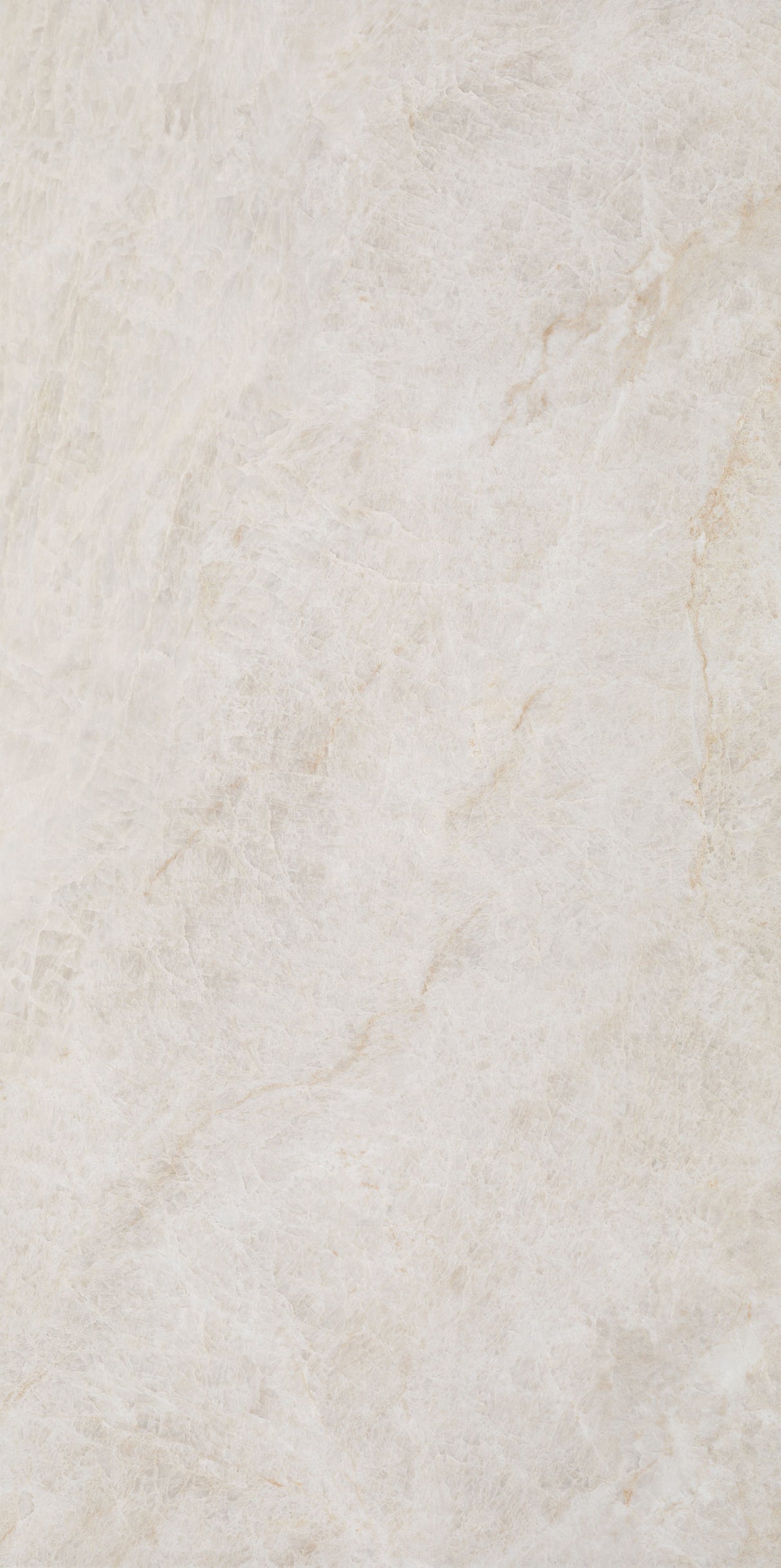 Taj Opus Palace Blanco Pulido 12x24