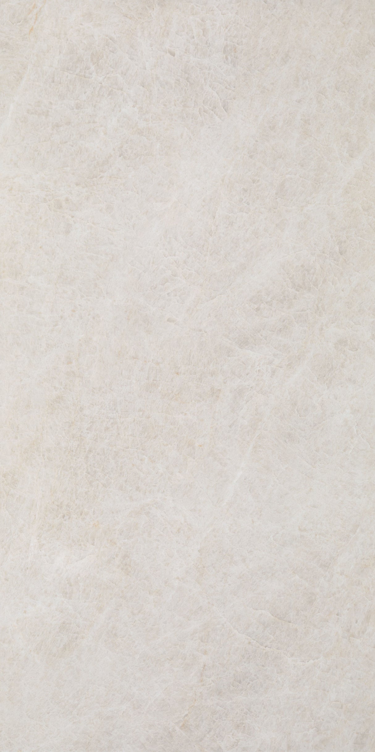 Taj Opus Palace Blanco Pulido 12x24