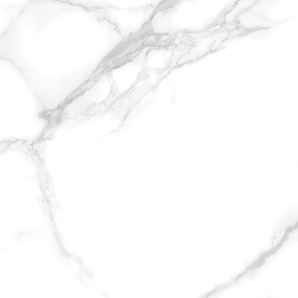 Silver Moon 24x24 Polished Marble Look Porcelain Tile