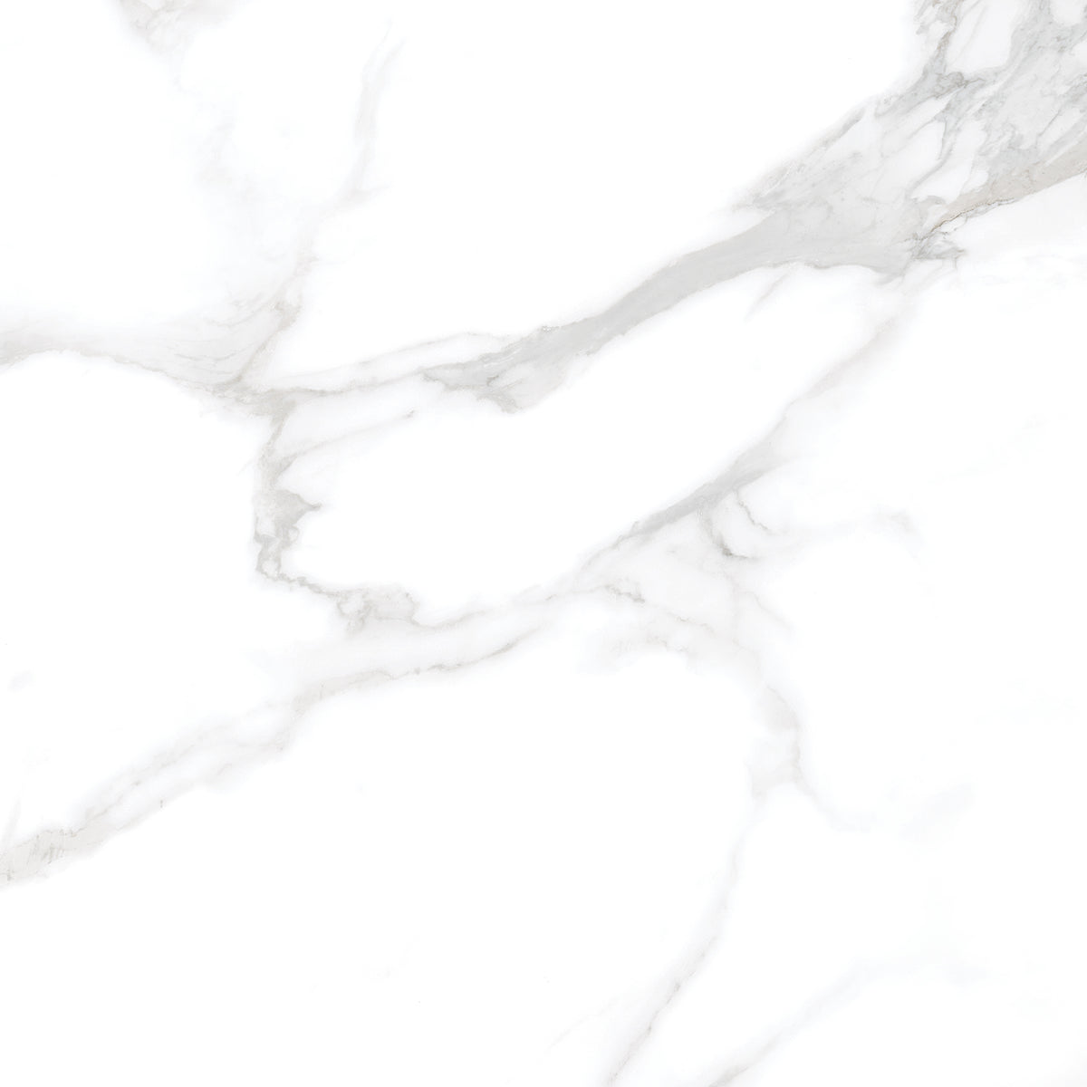 Silver Moon 24x24 Polished Marble Look Porcelain Tile