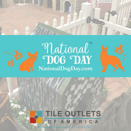 Ready to Celebrate National Dog Day With Tile Outlets of America?