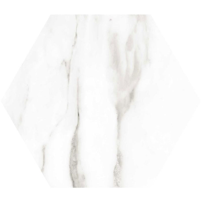 Venato Hex 11x13 Matte Porcelain Tile 1