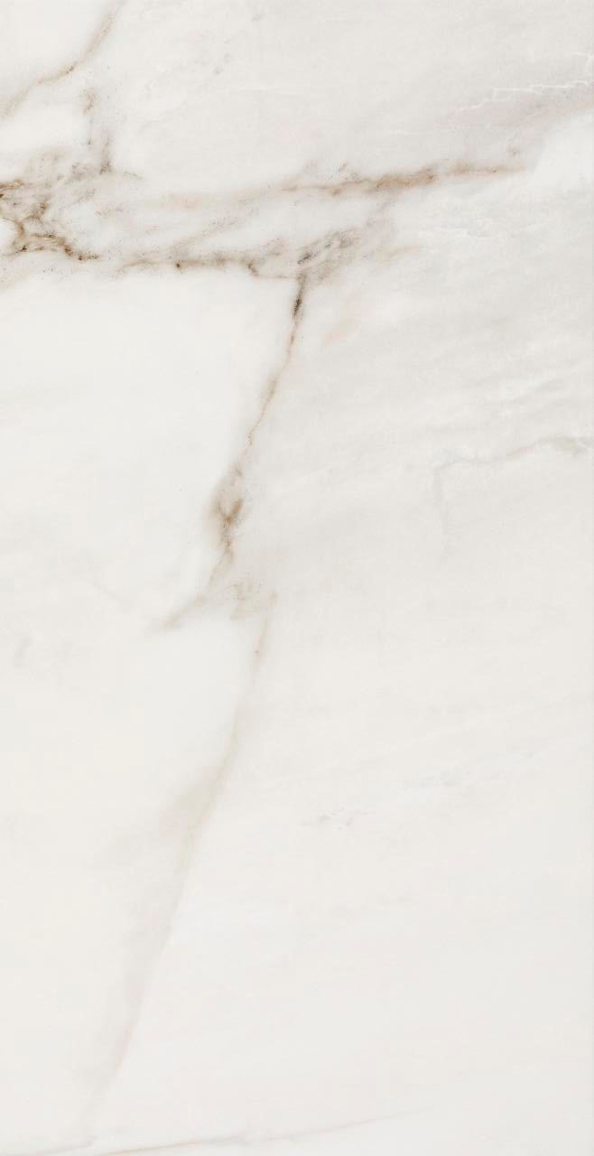 Fossile Polished 12x24 Stone Look Porcelain Tile 1