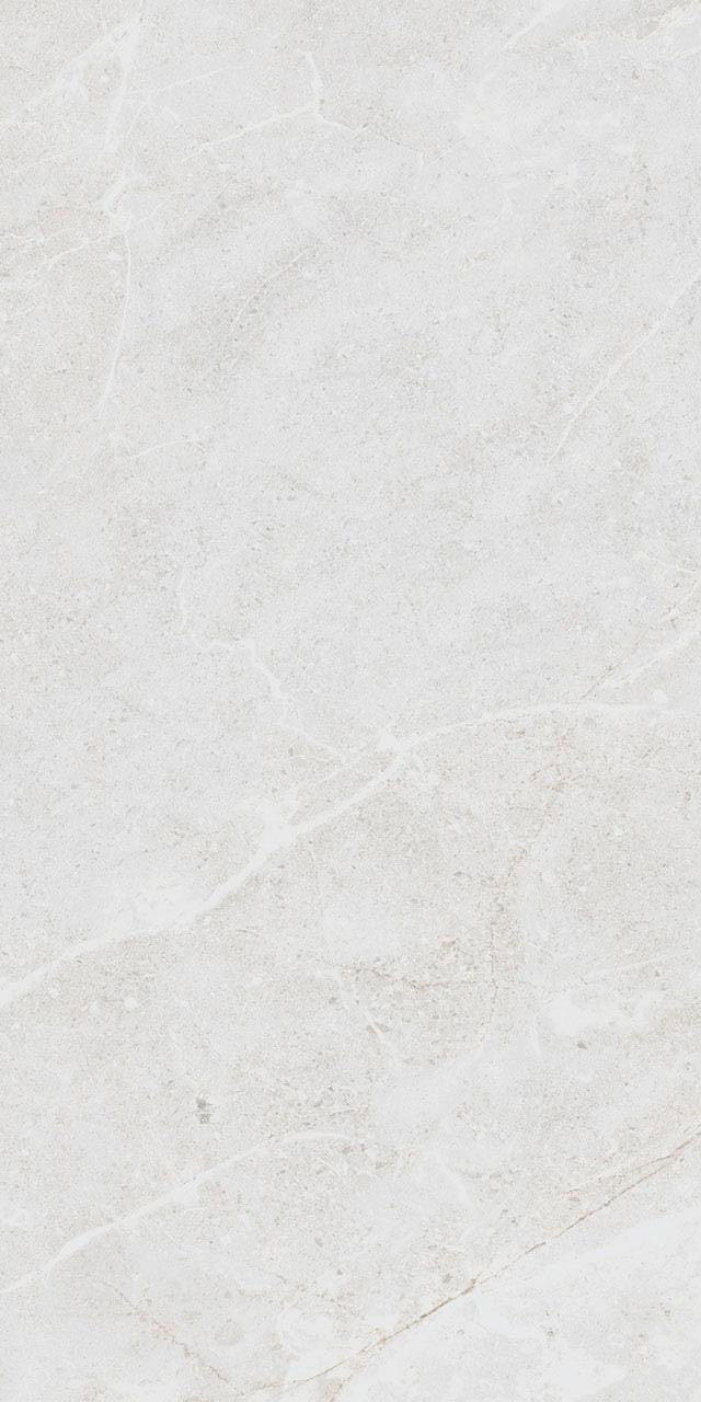 Belvedere White Matte 12x24 Porcelain Tile 4