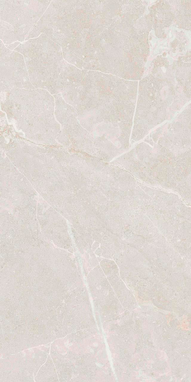 Belvedere Ivory Matte 12x24 Porcelain Tile 1