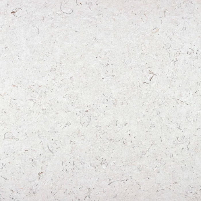 Caliope InOut White 24x24 Matte Porcelain Tile 1