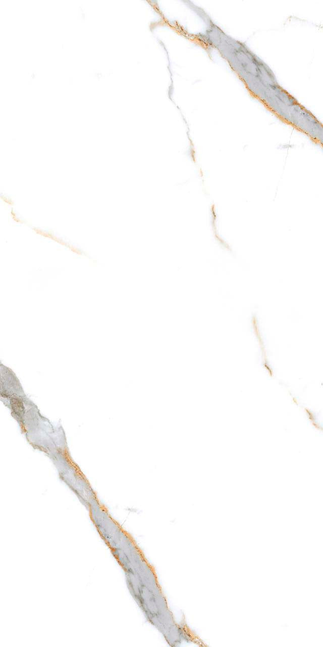 Calacatta Gold 24x48 Polished Marble Look Porcelain Tile 2