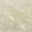 108869  61518