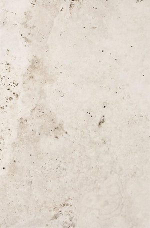 Heritage Ivory 16x24 Matte Porcelain Tile