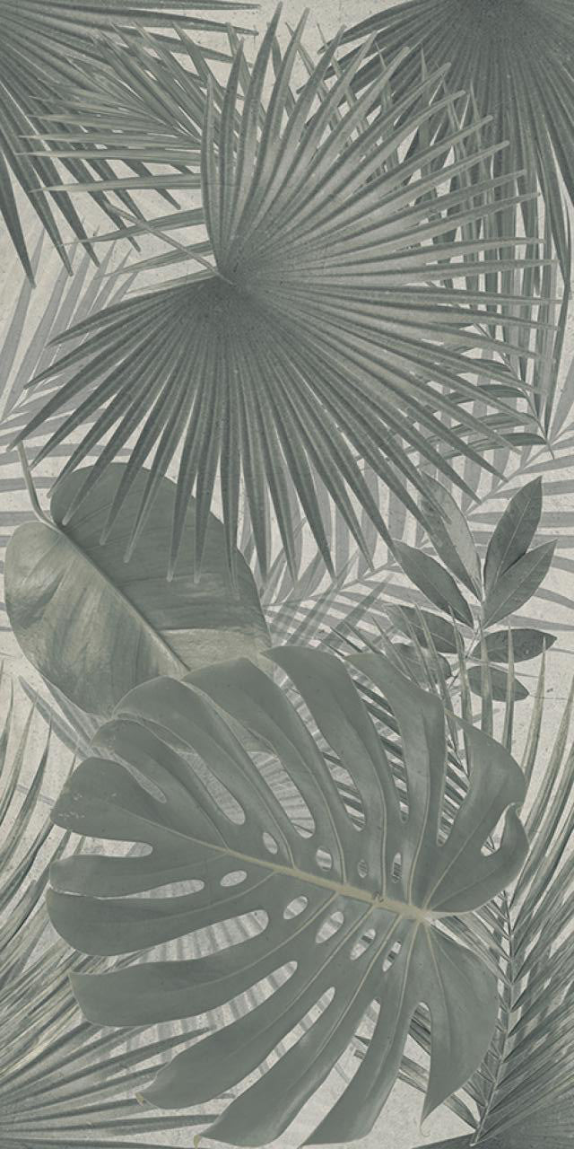 Baldosa de porcelana gran formato Jungle 24x48