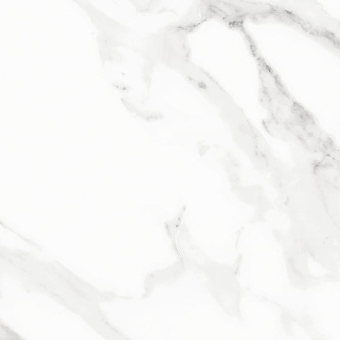 Carrara White 13x13 Matte Marble Look Porcelain Tile 1