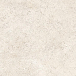 Coquina Off White 32x32 Shellstone Look Porcelain Tile