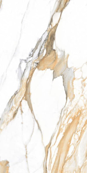Marmo Vivo Beige 24x48 Polished Marble Look Porcelain Tile