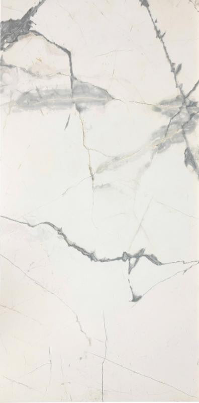 Pietra Marme de Milano 24x48 Marble Look Porcelain Tile 1