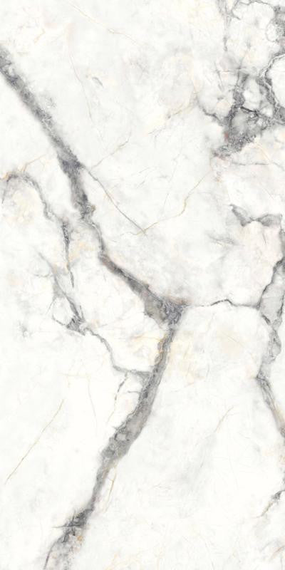 Charme Invisible Grey 12x24 Matte Porcelain Tile 1