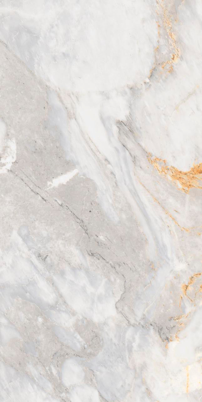 Baldosa de porcelana mate Nizza Grey 24x48 1