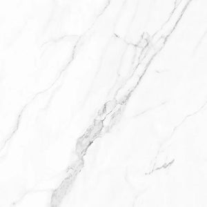 Olimpo 28x28 Polished Marble Look Porcelain Tile