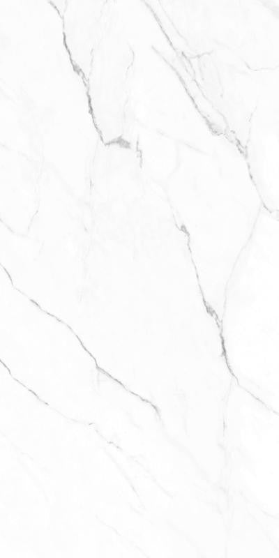 Olimpo 24x48 Polished Marble Look Porcelain Tile