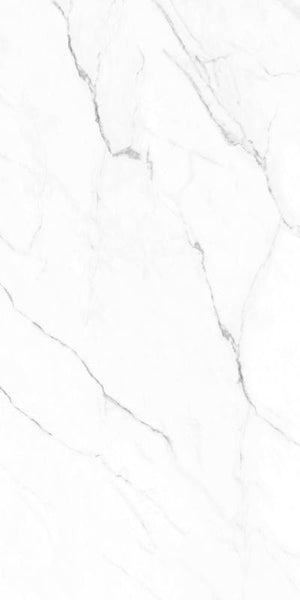 Olimpo 24x48 Polished Marble Look Porcelain Tile