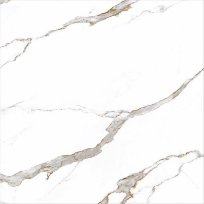 Carrara Plus 22x22 Glossy Marble Look Ceramic Tile 3