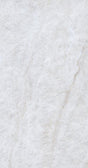 113381  21819