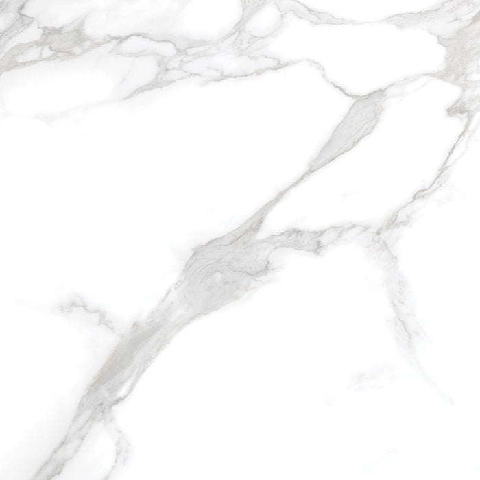Silver Moon 24x24 Polished Marble Look Porcelain Tile 3