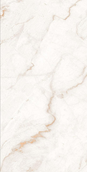 NX Ferrol Ice 24x48 Stone Look Porcelain Tile