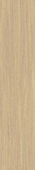 Wood Look Porcelain Plank Tile