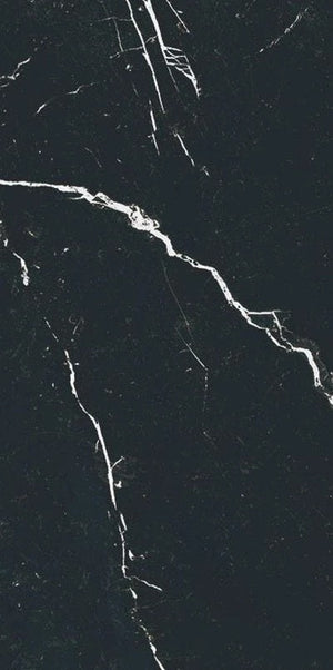 Marmorea Marquina 12x24 Marble Look Porcelain Tile