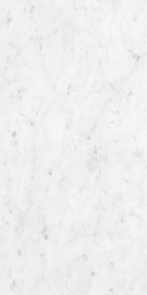 Marmorea Carrara 12x24 Marble Look Porcelain Tile