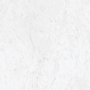 Marmorea Carrara 24x24 Polished Marble Look Porcelain Tile