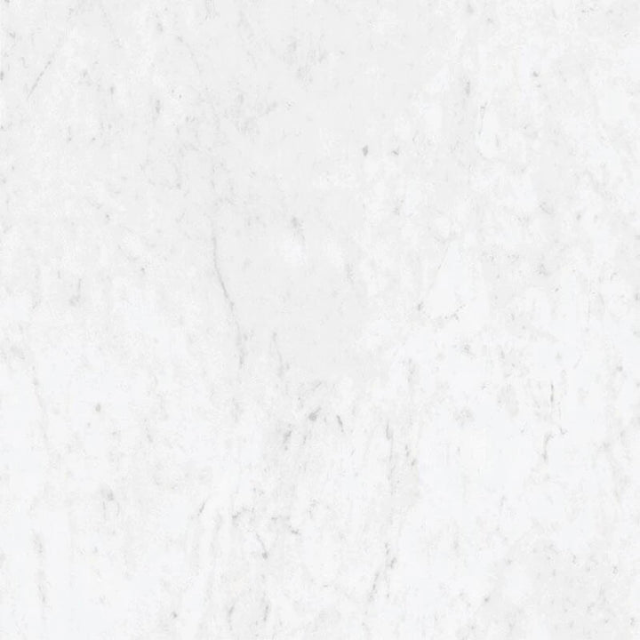 Marmorea Carrara 24x24 Polished Marble Look Porcelain Tile