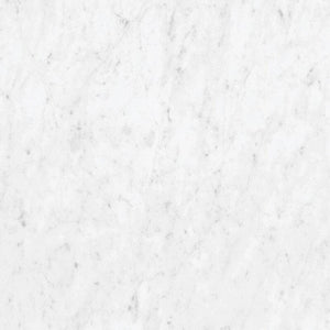 Marmorea Carrara 24x24 Polished Marble Look Porcelain Tile