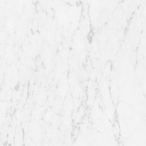 Marmorea Carrara 24x24 Polished Marble Look Porcelain Tile